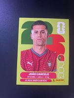 Panini FIFA World Cup Sticker POR 5